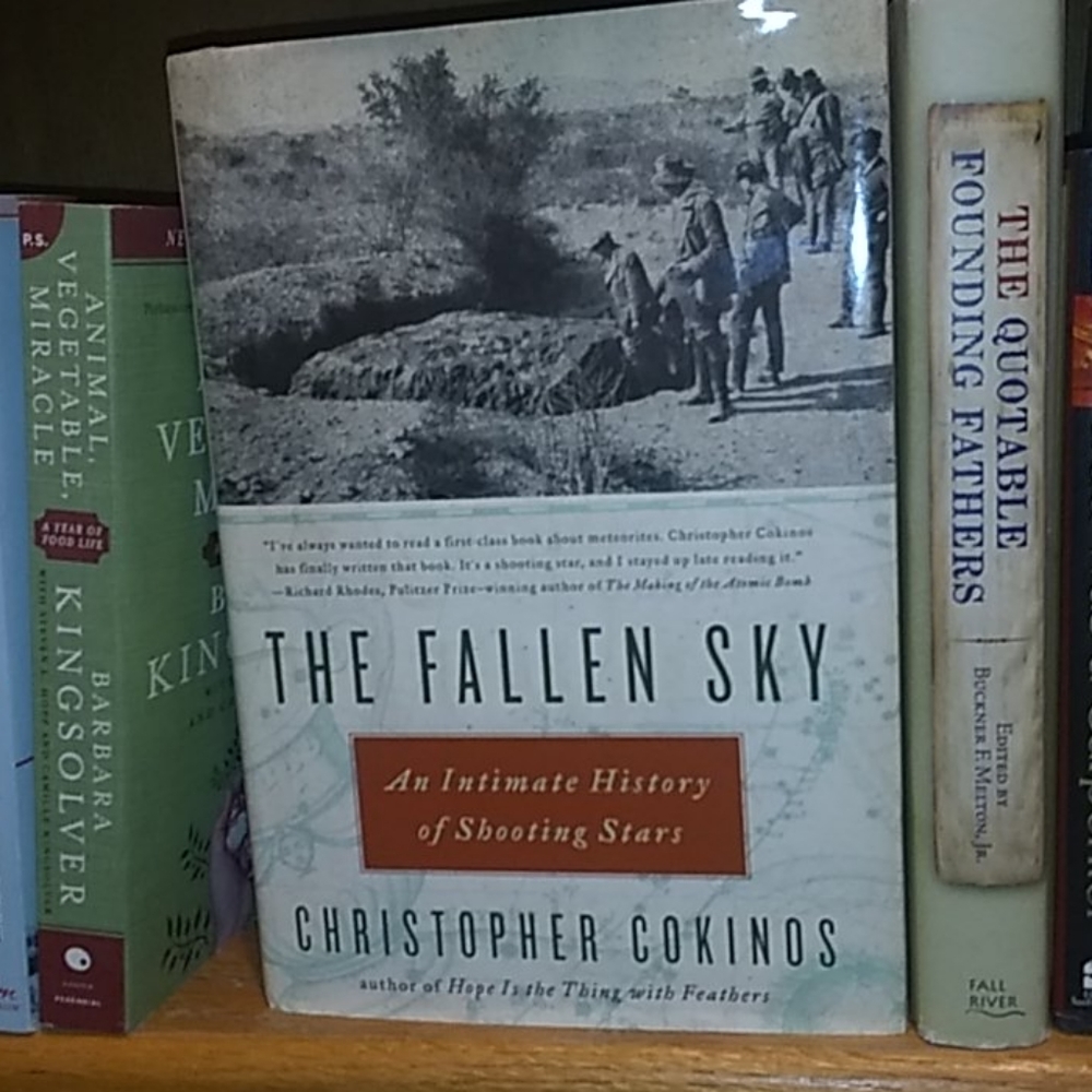 The Fallen Sky Christopher Cokinos